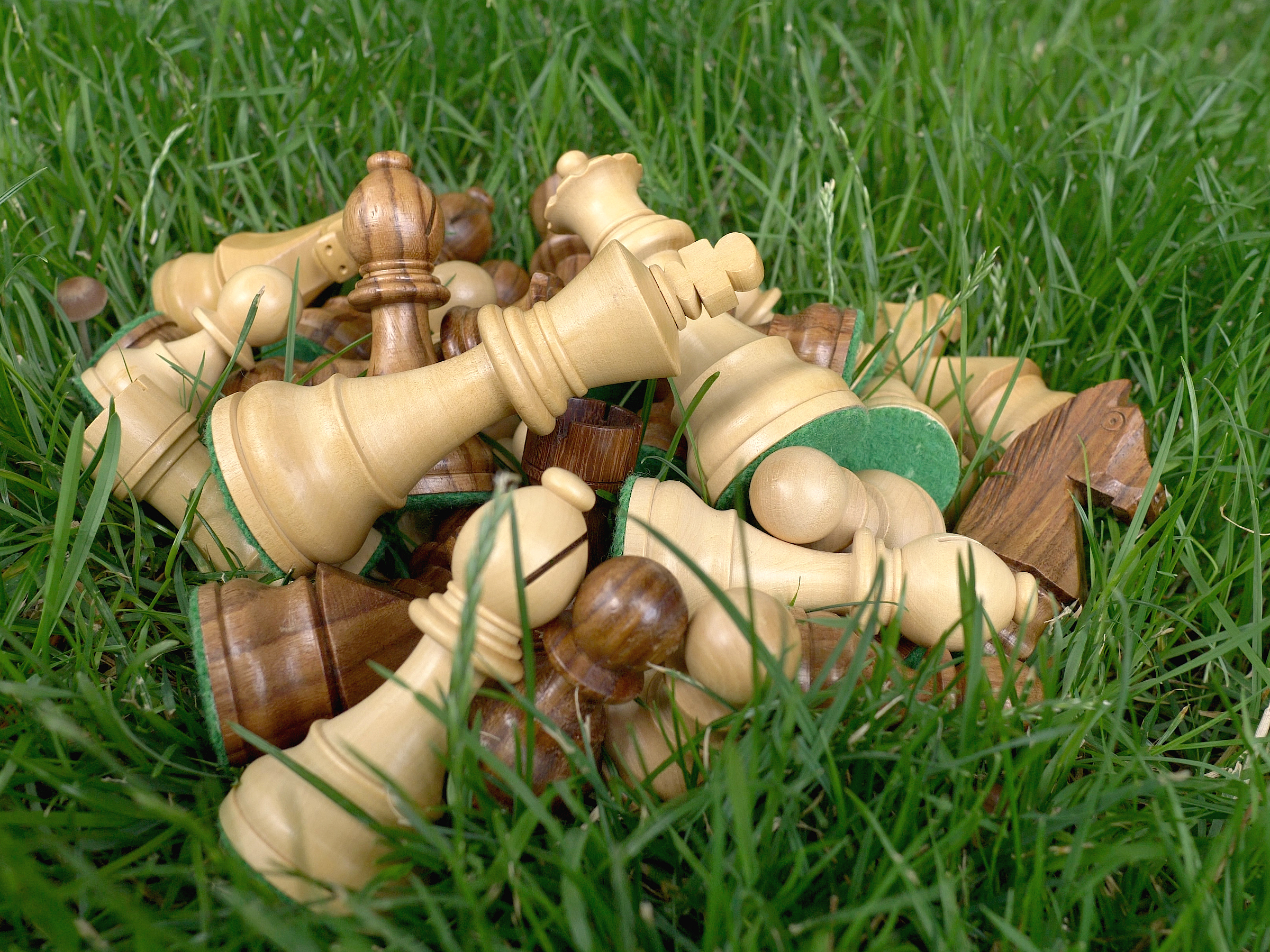 Schachfiguren im Gras